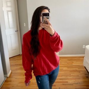 Hanes Big Red Sweater